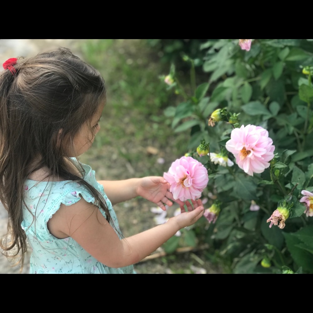 Toddler 3y cutest dress